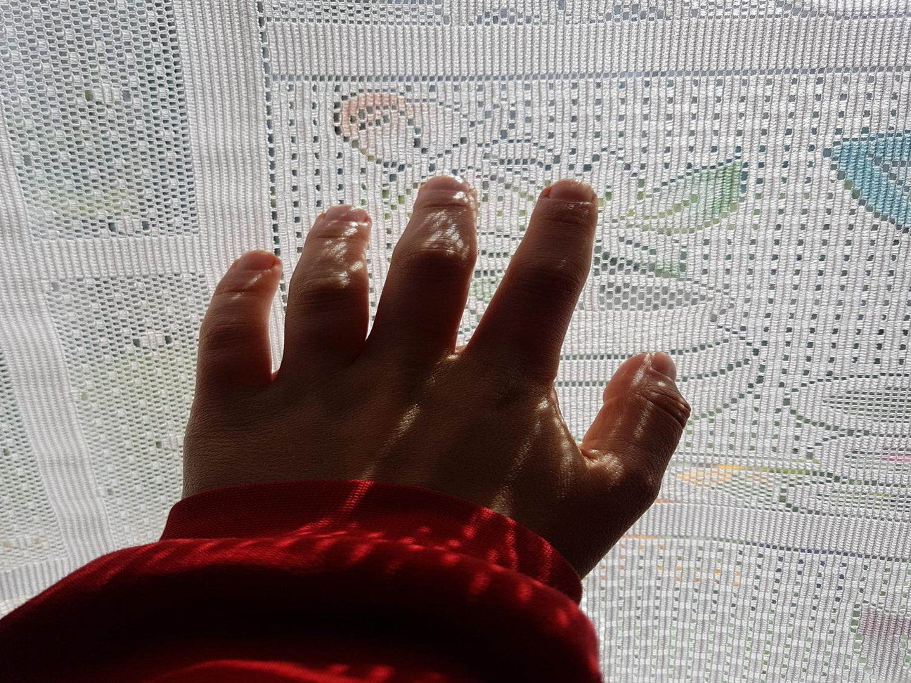 Limited Editions - Hilstor