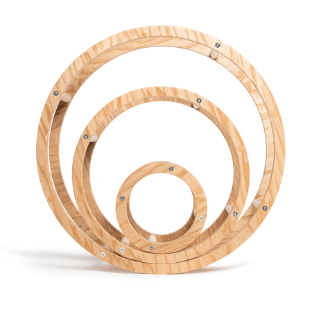 Montessori Wooden Rings Set – Educational Toy for Fine Motor Skills, Sorting, and Cognitive Development, Made in Europe - Hilstor