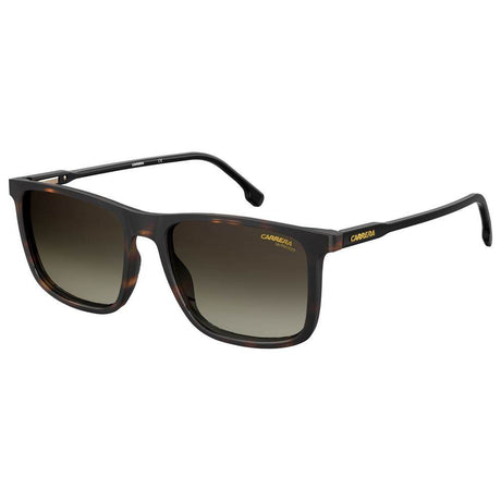 Carrera Brown Injected Sunglasses - Hilstor
