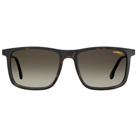 Carrera Brown Injected Sunglasses - Hilstor