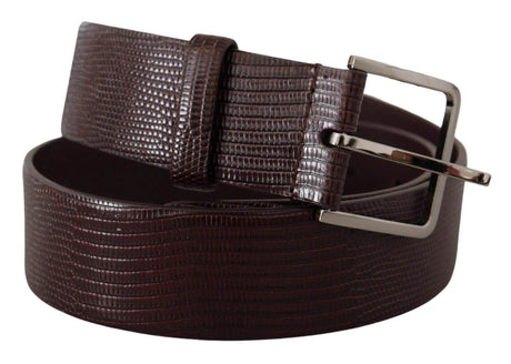 Dolce & Gabbana Dark Brown Calf Leather Silver Logo Metal Buckle Belt - Hilstor