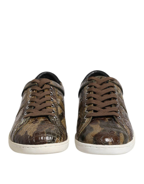 Dolce & Gabbana Brown Exotic Leather Low Top Sneakers Shoes - Hilstor