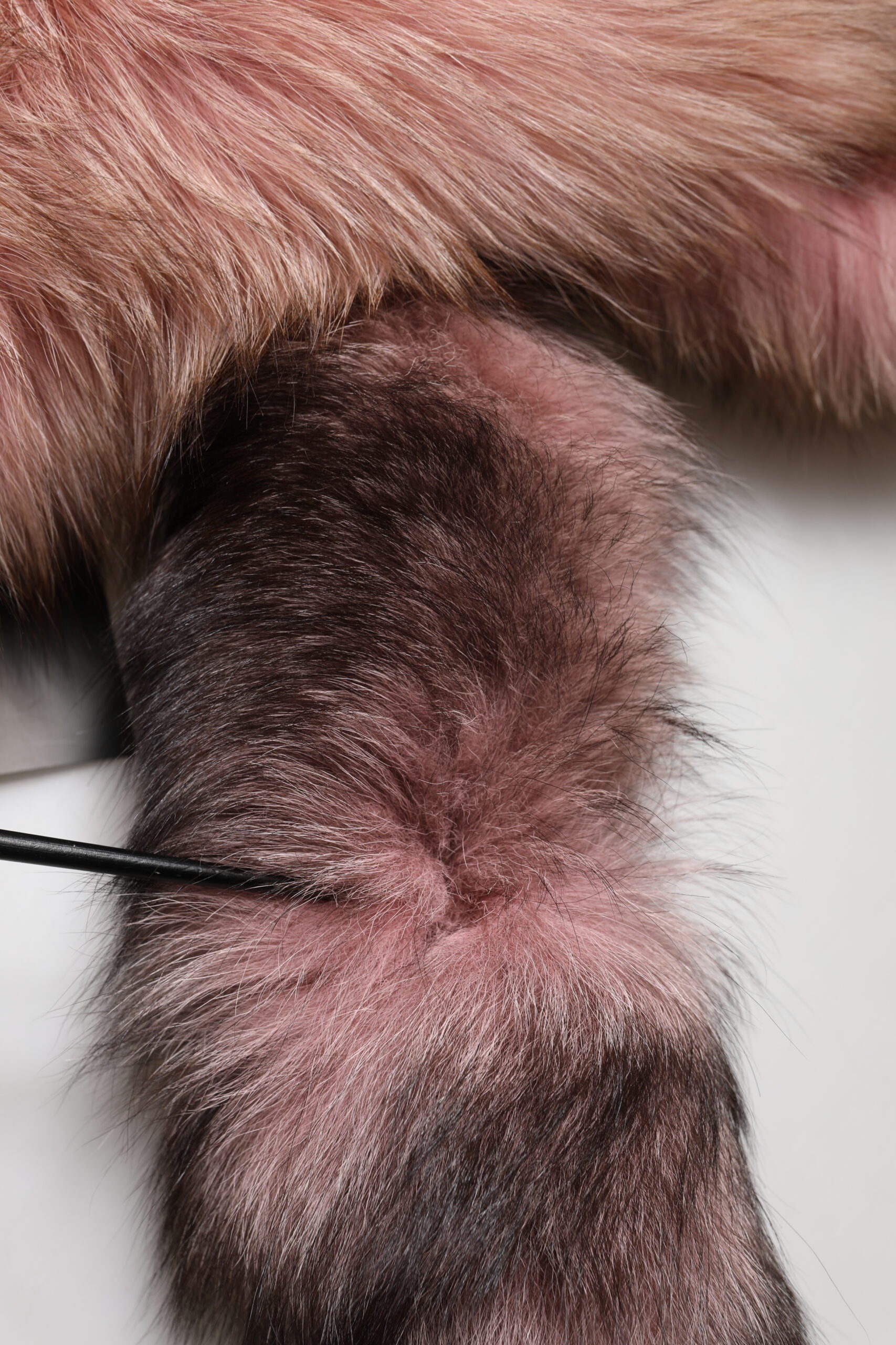 Dolce & Gabbana Pink Frost Fox Fur Neck Warmer Winter 120cm x 27cm Scarf