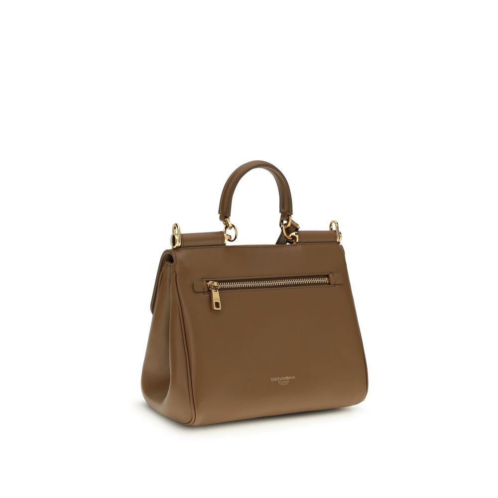 Dolce & Gabbana Brown Calf Leather Bos Taurus Handbag