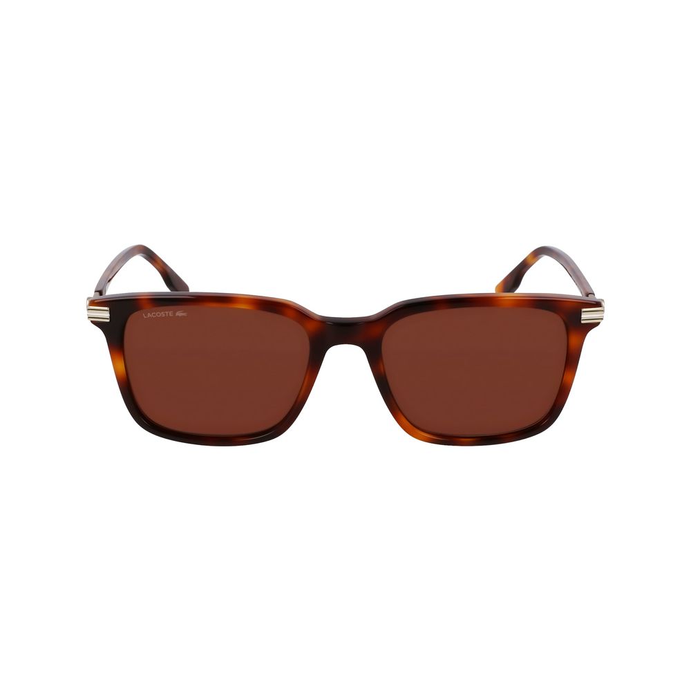 Lacoste Brown Acetate Sunglasses