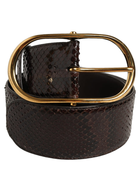 Dolce & Gabbana Brown Python Leather Gold Metal Buckle Belt