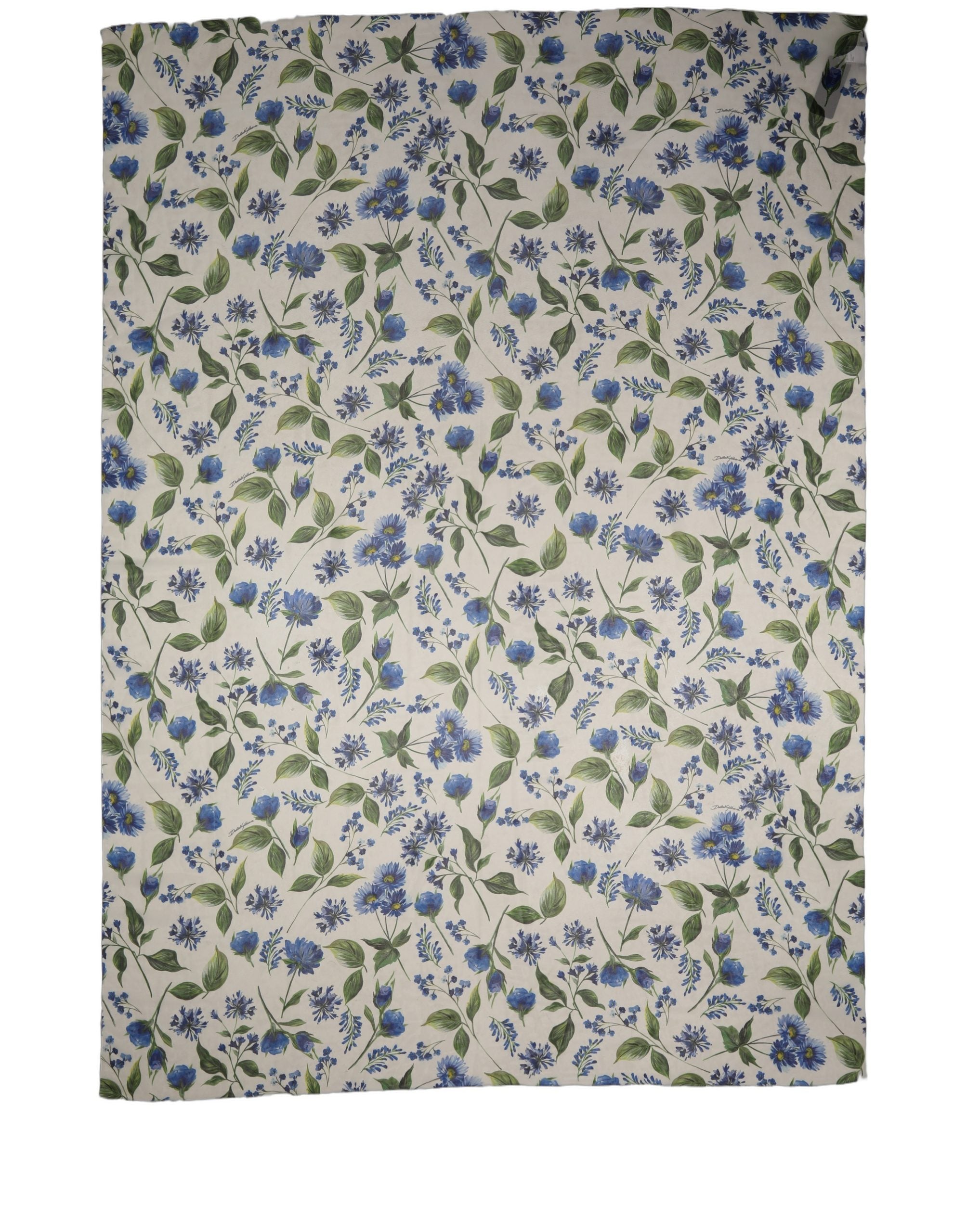 Dolce & Gabbana White Blue Floral Polyester Stole Scarf