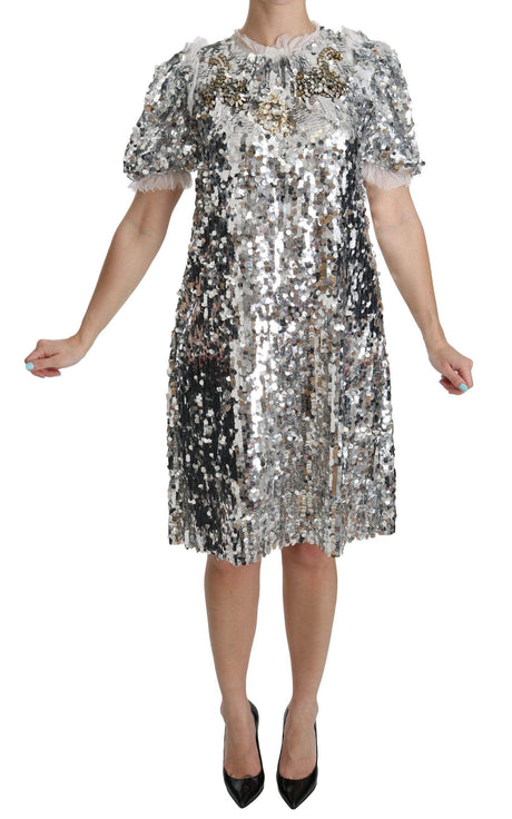 Dolce & Gabbana Elegant Silver A-Line Dress with Crystal Accents - Hilstor