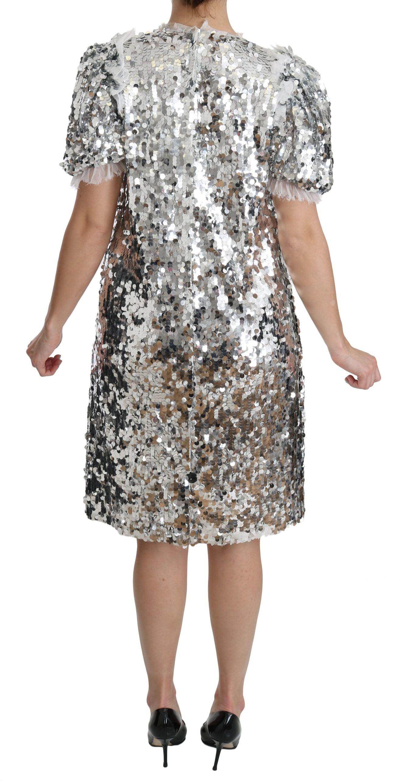 Dolce & Gabbana Elegant Silver A-Line Dress with Crystal Accents - Hilstor
