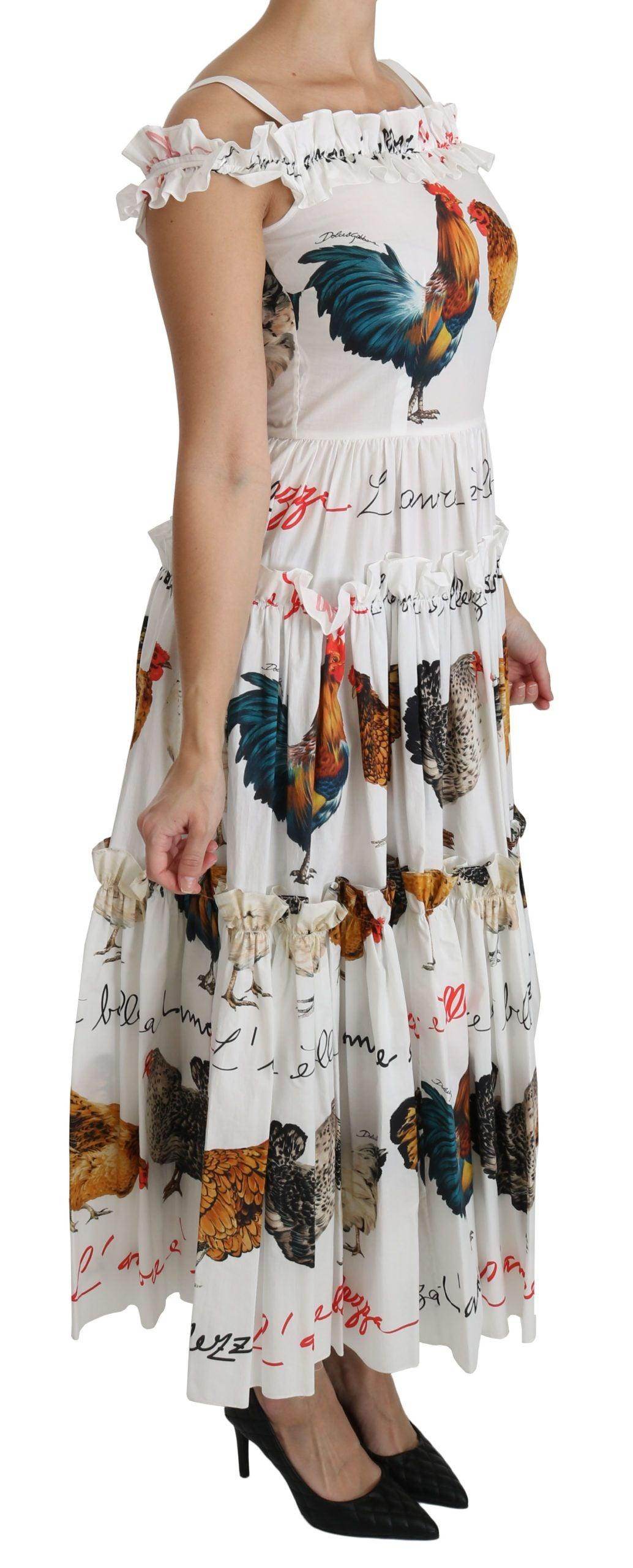 Dolce & Gabbana White Rooster Sheath Midi Cotton Dress - Hilstor