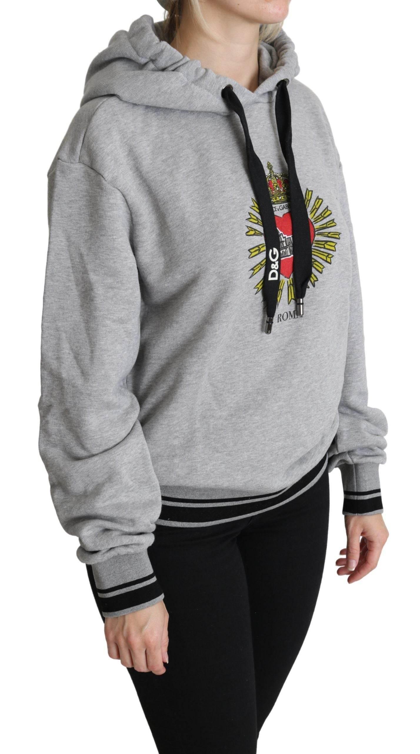 Dolce & Gabbana Gray Printed Hooded Exclusive Logo Sweater - Hilstor