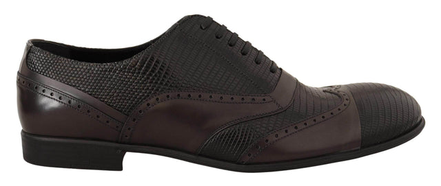 Dolce & Gabbana Elegant Brown Lizard Leather Oxford Shoes - Hilstor