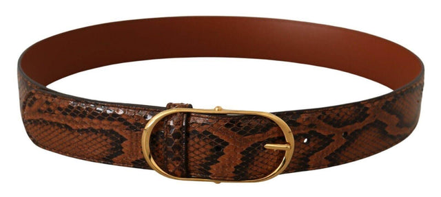 Dolce & Gabbana Elegant Leather Belt with Gold Buckle - Hilstor