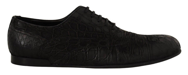 Dolce & Gabbana Elegant Exotic Leather Oxford Shoes - Hilstor