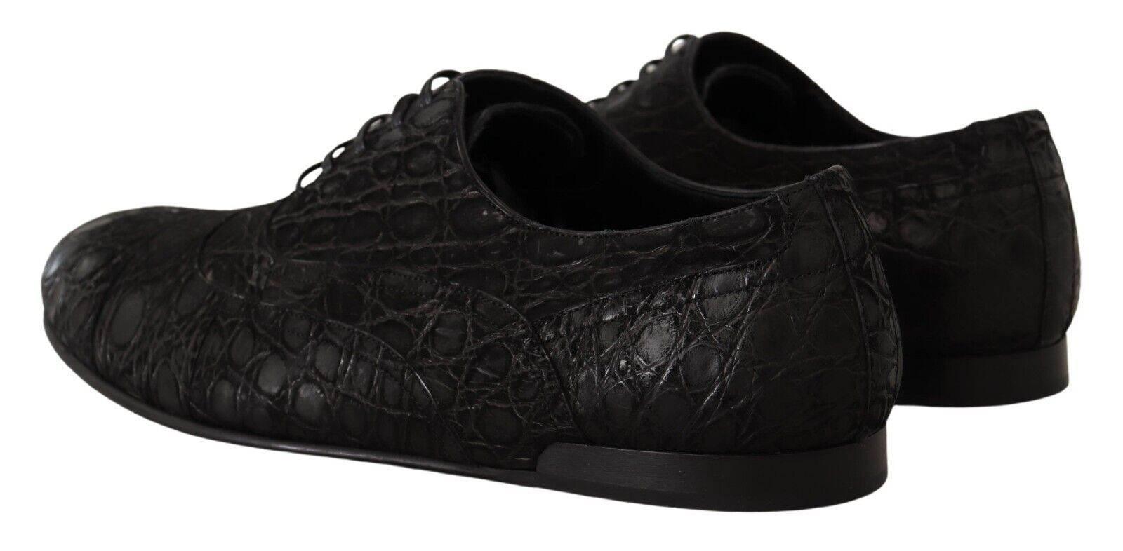 Dolce & Gabbana Elegant Exotic Leather Oxford Shoes - Hilstor