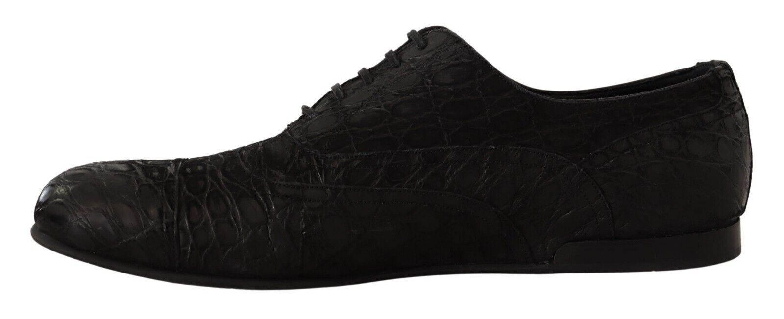 Dolce & Gabbana Elegant Exotic Leather Oxford Shoes - Hilstor