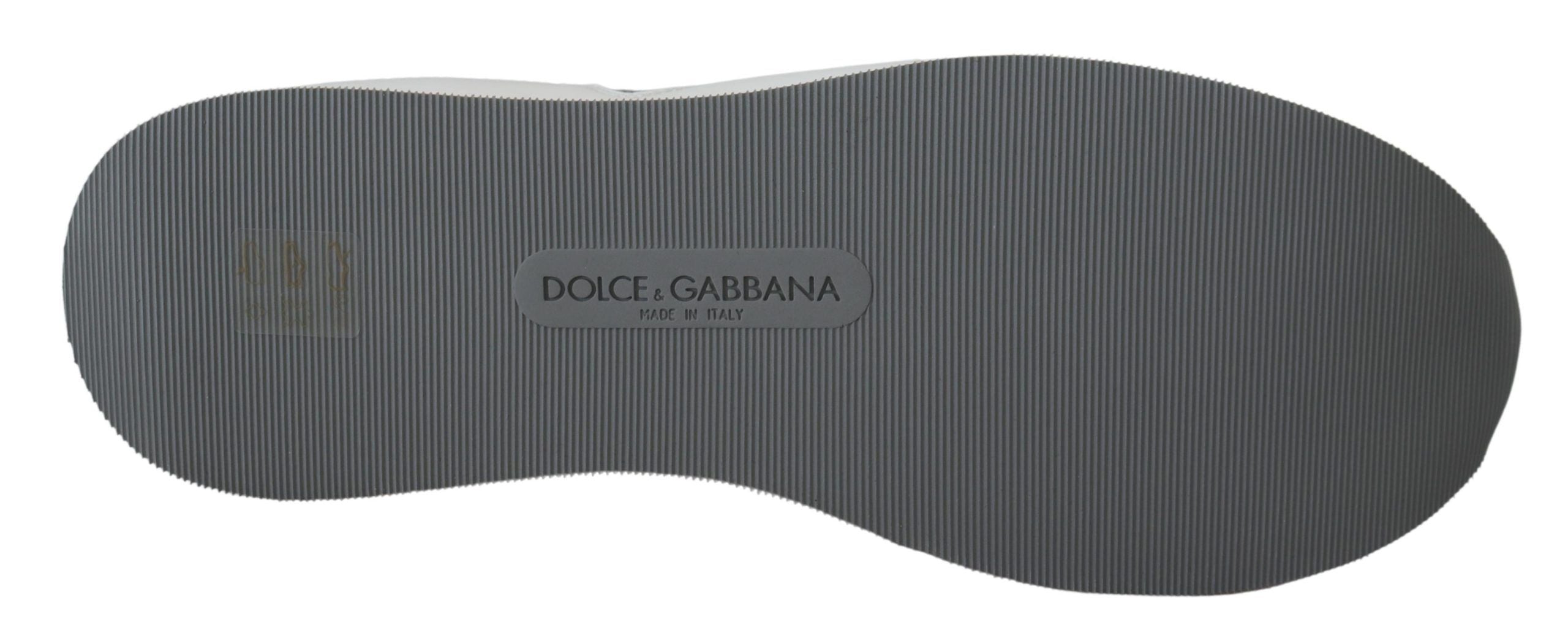 Dolce &amp; Gabbana Multifarvede Læder Sport Low Top Sneakers