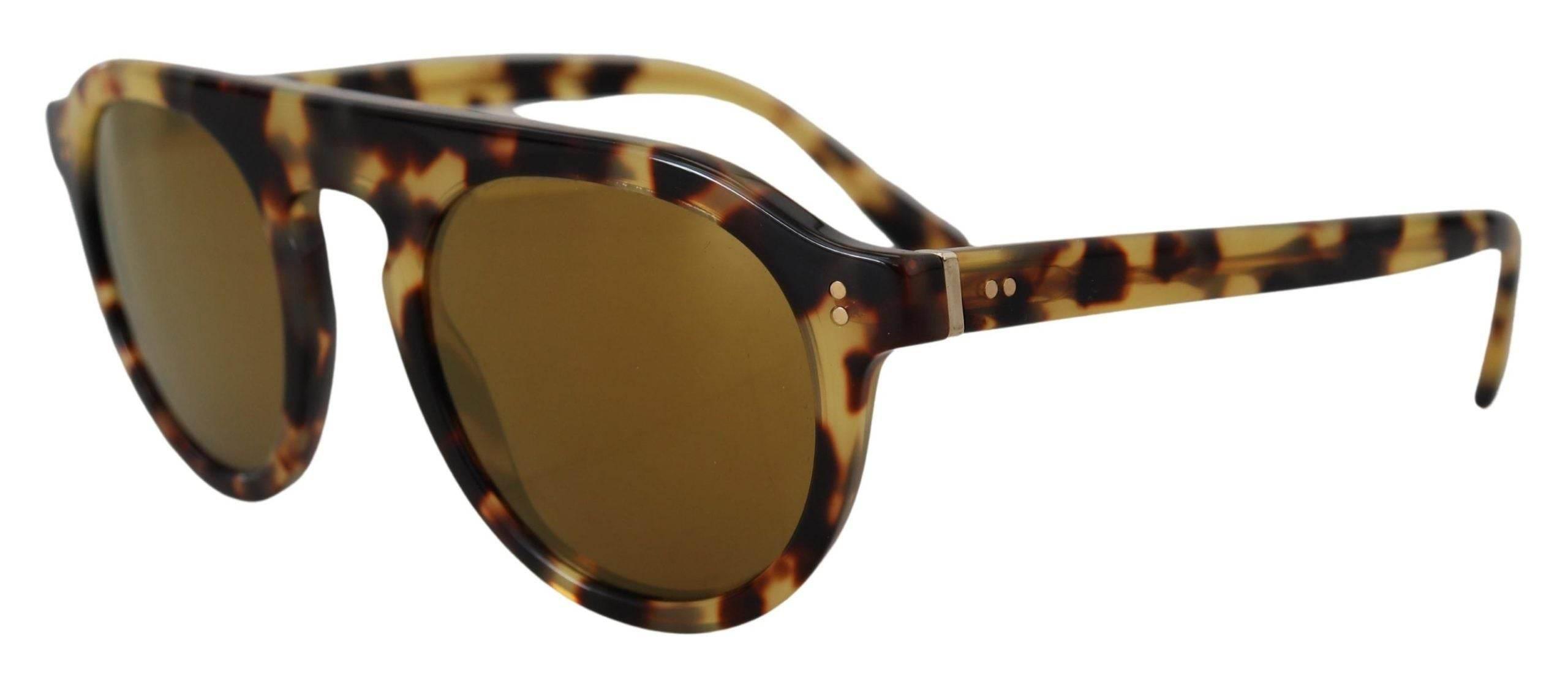 Dolce & Gabbana Brown Tortoise Oval Full Rim Shades DG4306F Sunglasses - Hilstor