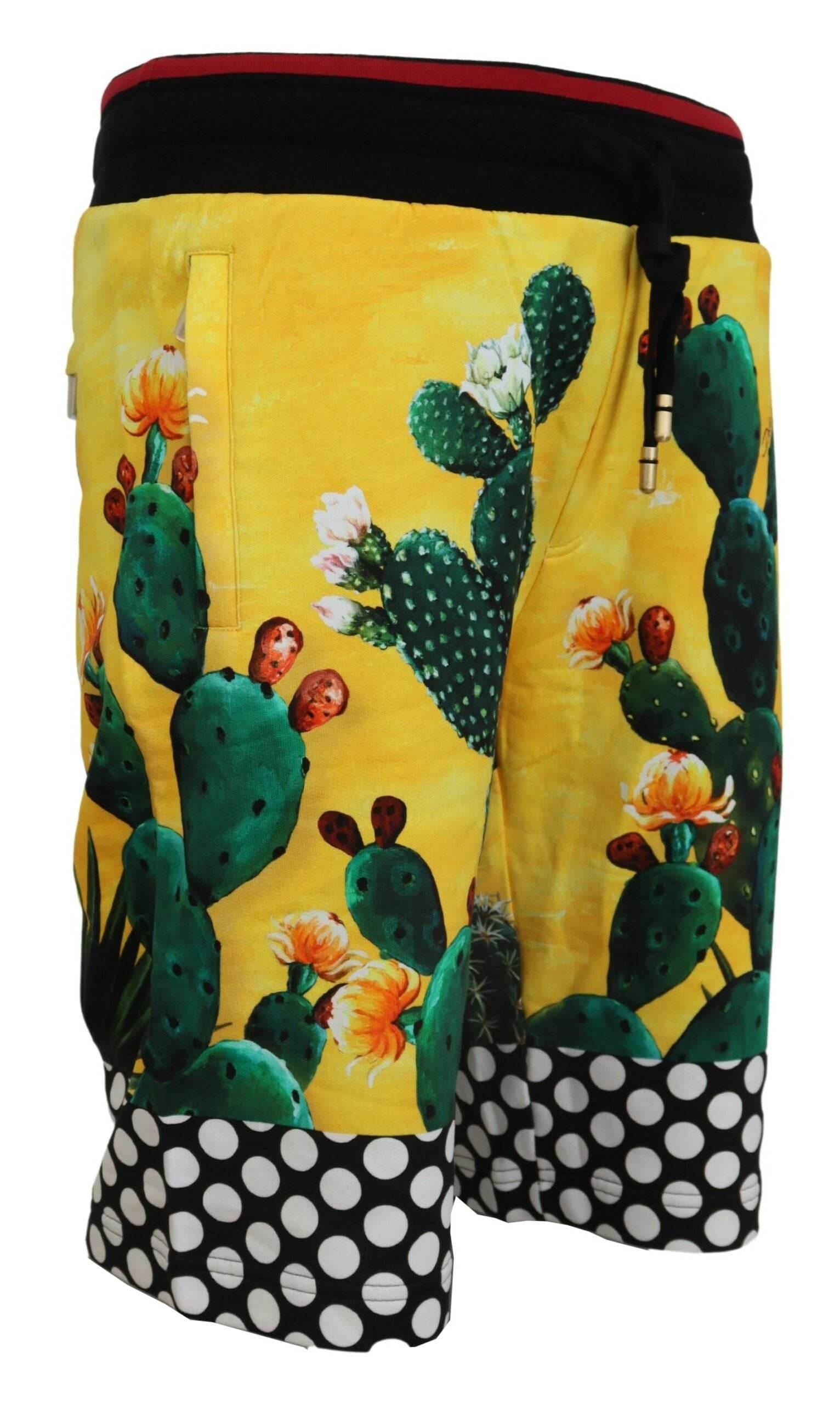 Dolce & Gabbana Multicolor Cactus Print Cotton Sweat Shorts - Hilstor