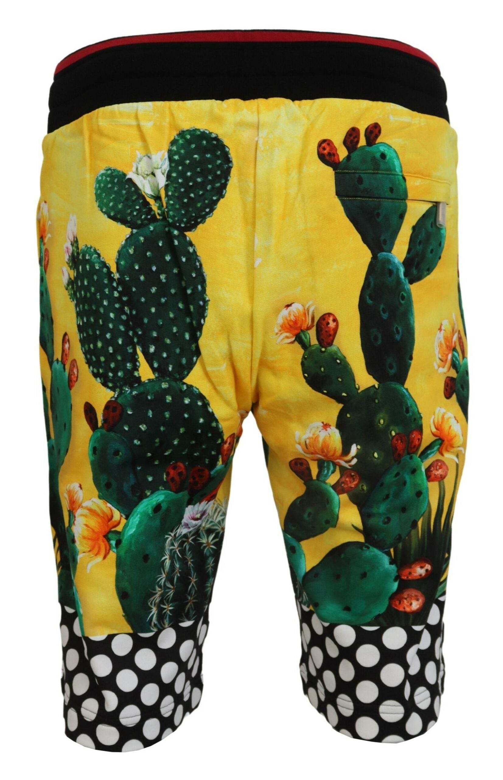 Dolce & Gabbana Multicolor Cactus Print Cotton Sweat Shorts - Hilstor