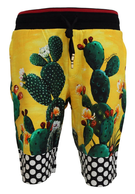 Dolce & Gabbana Multicolor Cactus Print Cotton Sweat Shorts - Hilstor