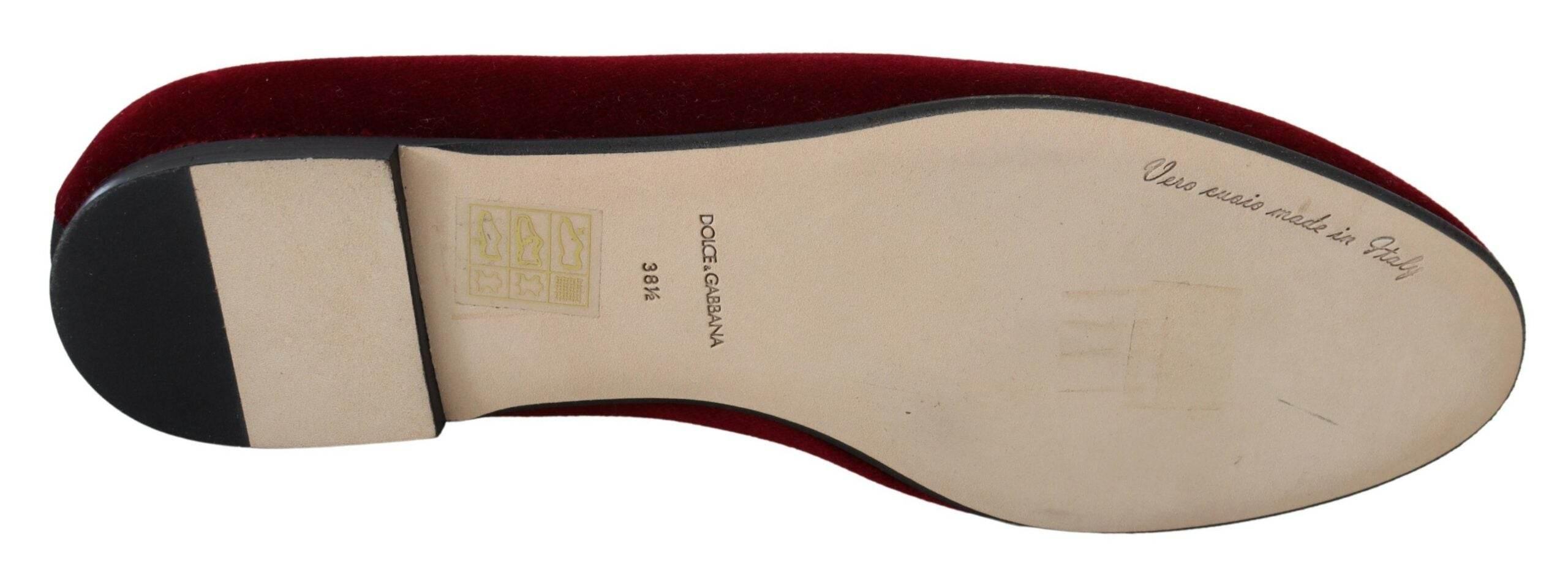 Dolce & Gabbana Bordeaux Velvet Devotion Loafers - Hilstor