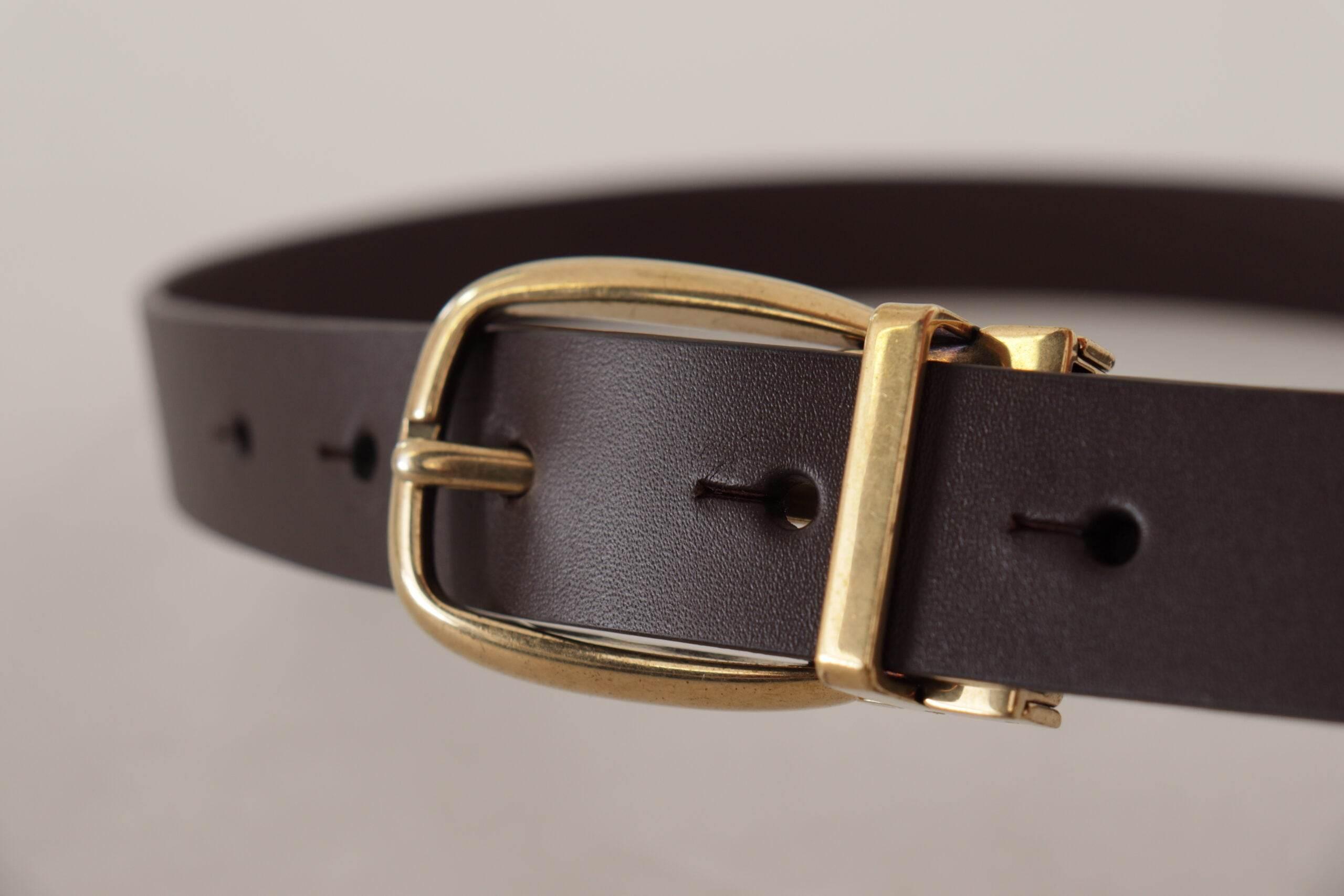 Dolce & Gabbana Dark Brown Calf Leather Gold Tone Metal Buckle - Hilstor