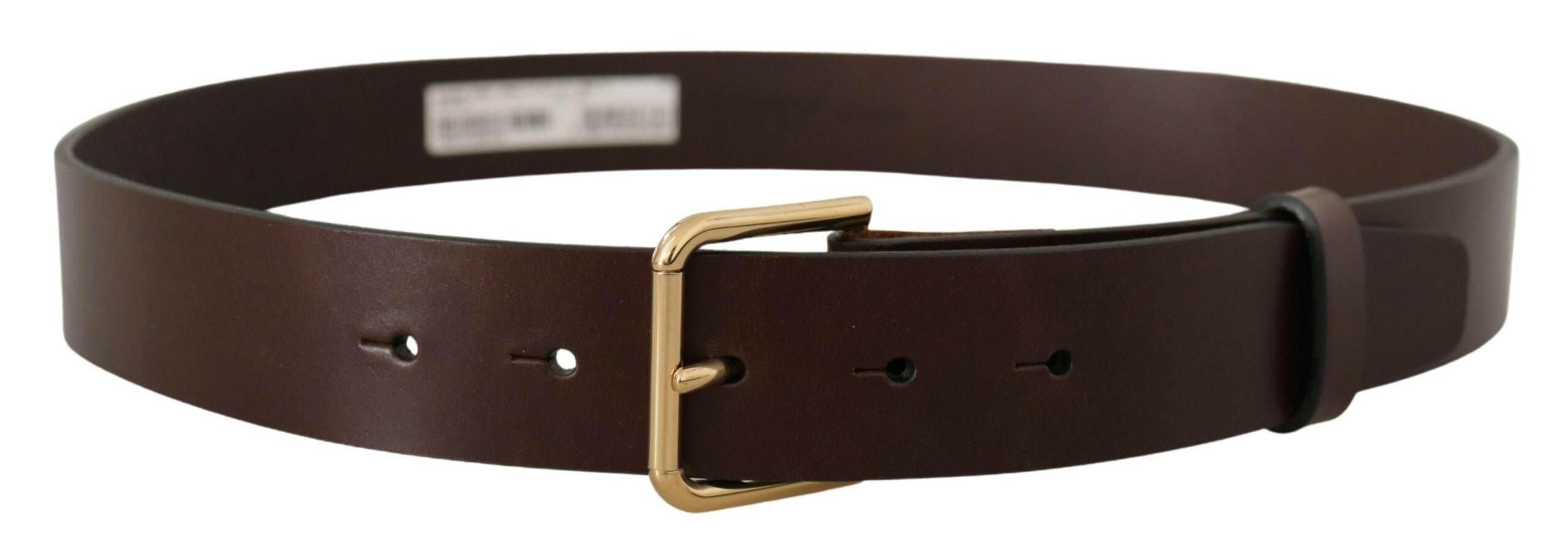 Dolce & Gabbana Brown Plain Calf Leather Gold Tone Buckle Belt - Hilstor