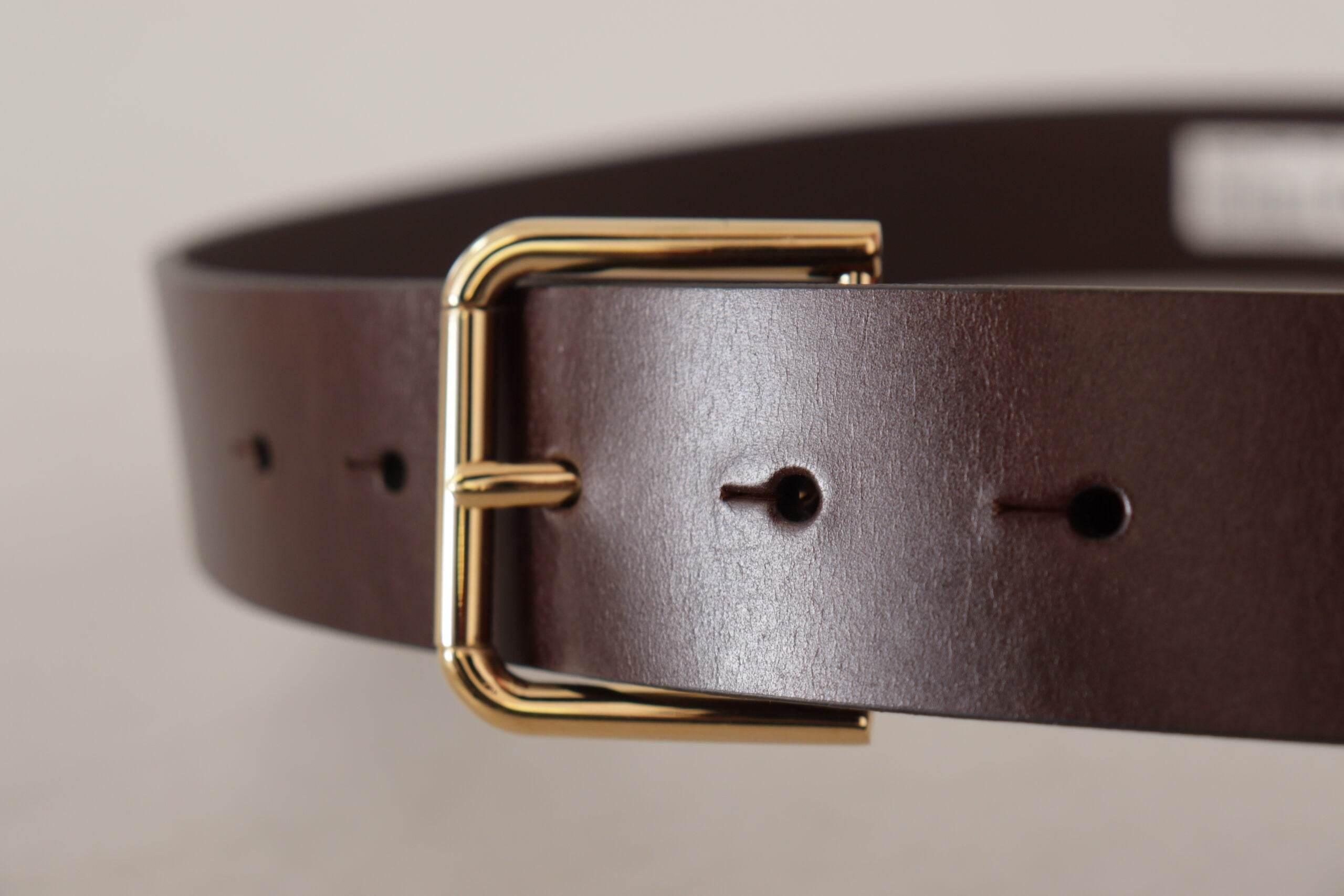Dolce & Gabbana Brown Plain Calf Leather Gold Tone Buckle Belt - Hilstor