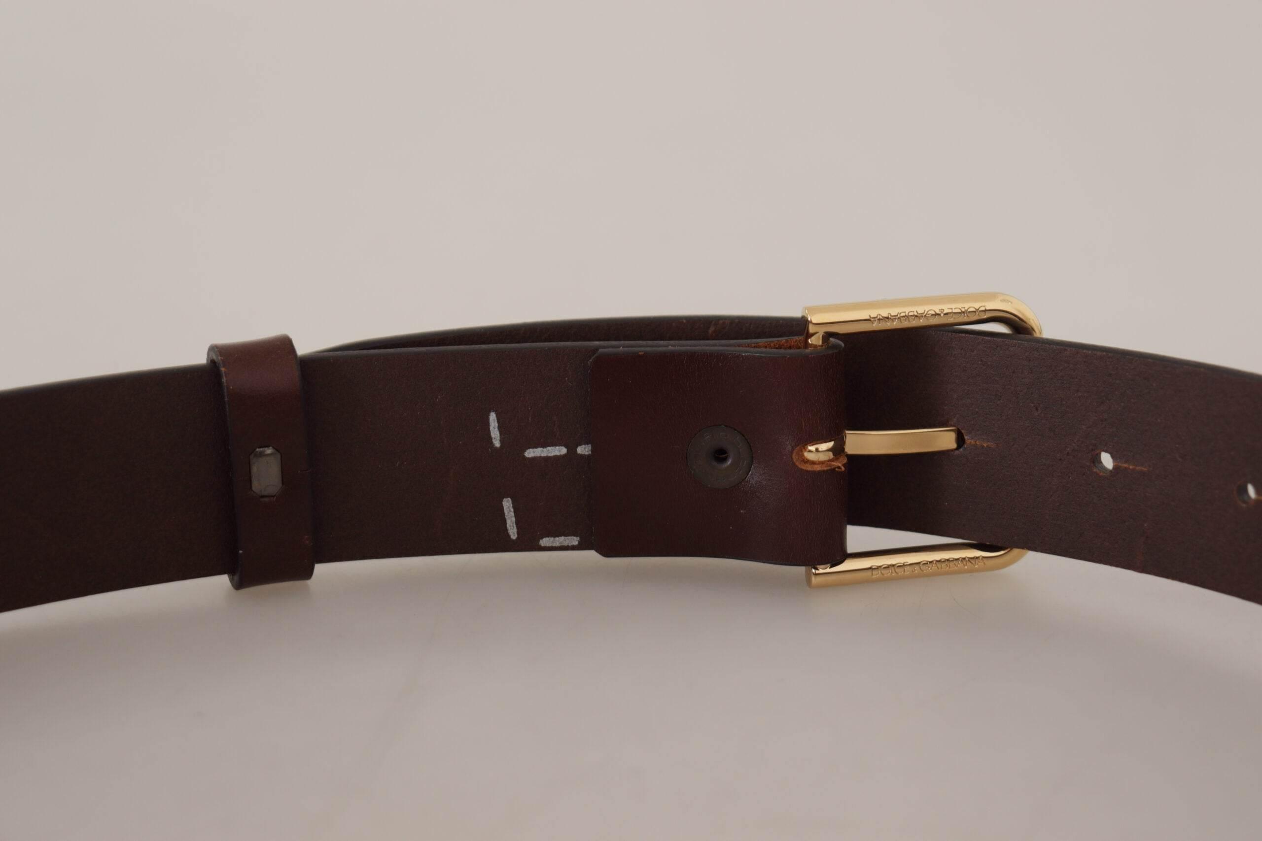 Dolce & Gabbana Brown Plain Calf Leather Gold Tone Buckle Belt - Hilstor