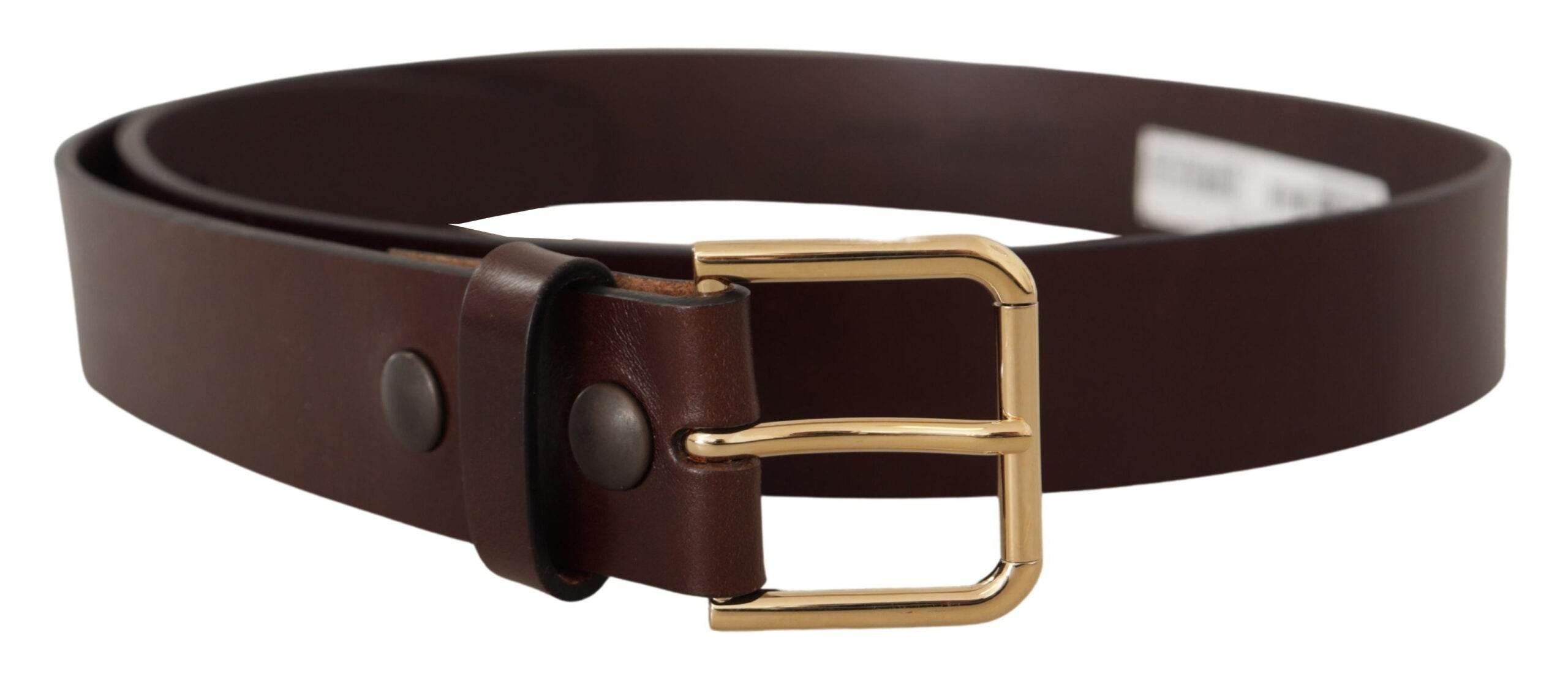 Dolce & Gabbana Brown Polished Leather Gold Tone Metal Buckle Belt - Hilstor