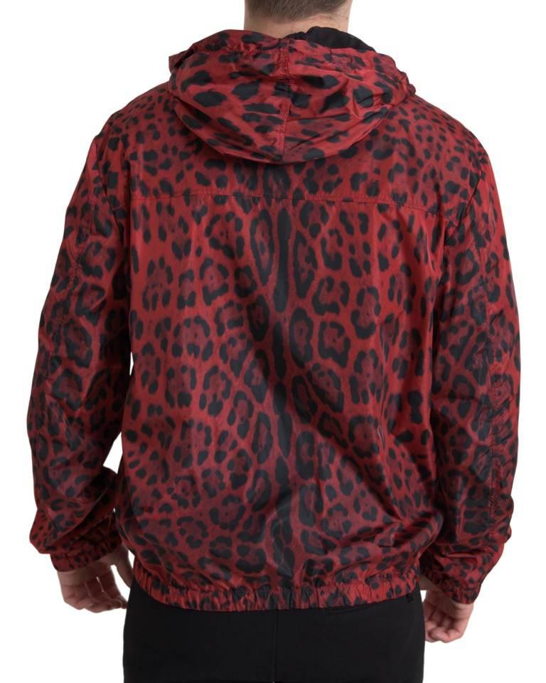 Dolce & Gabbana Red Leopard Hooded Bomber Jacket - Hilstor