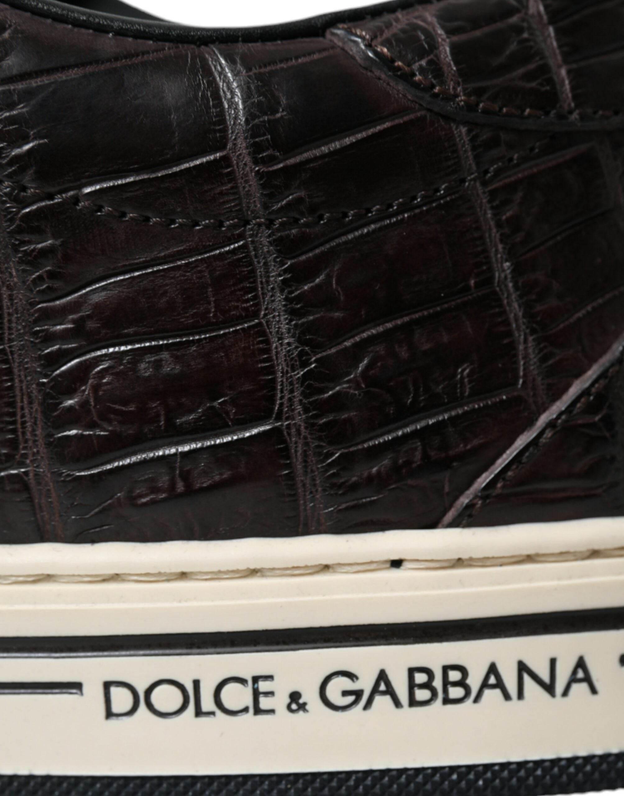 Dolce & Gabbana Brown Croc Exotic Leather Men Casual Sneakers Shoes - Hilstor