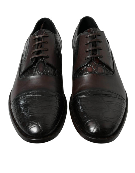 Dolce & Gabbana Elegant Brown Formal Derby Dress Shoes - Hilstor