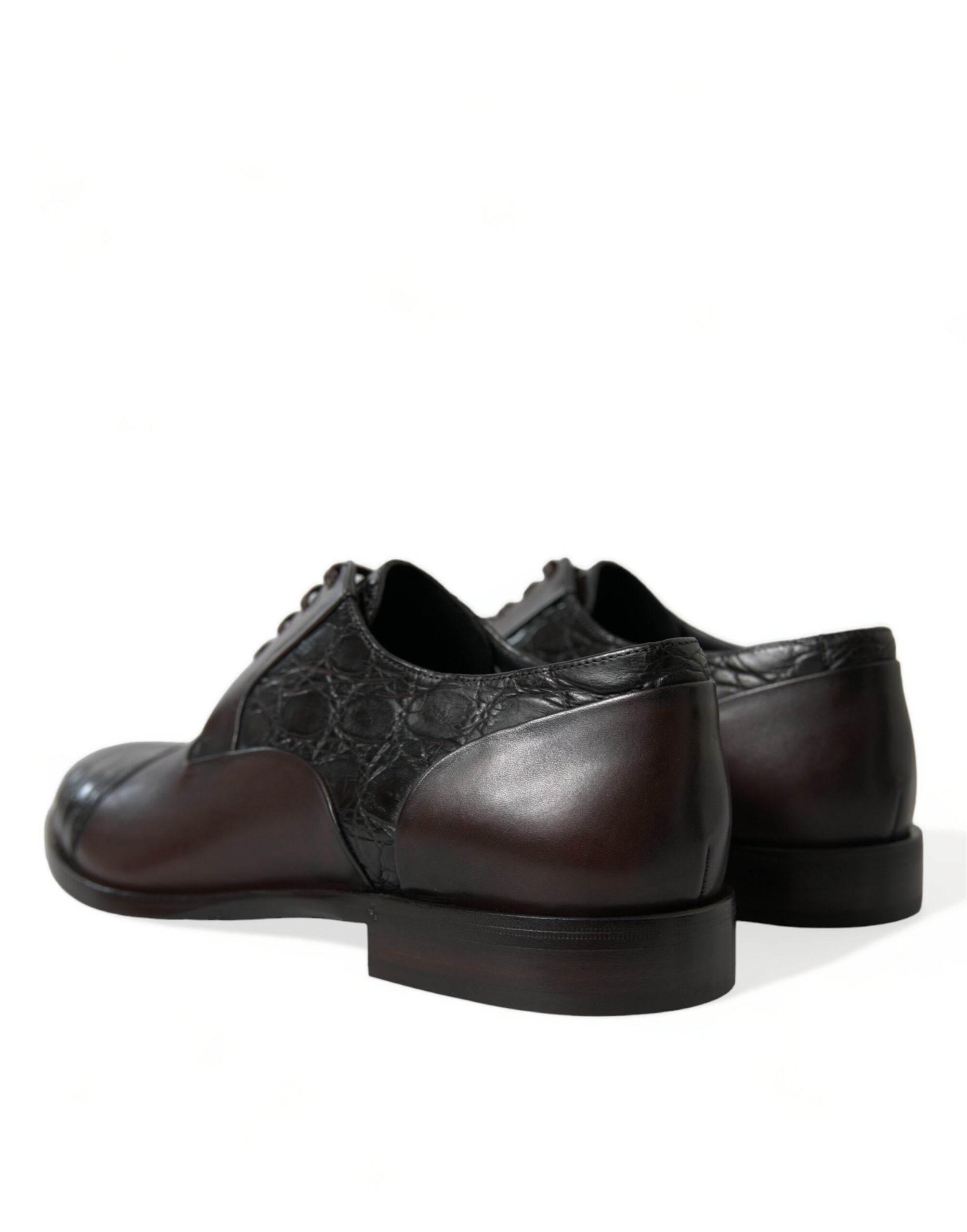 Dolce & Gabbana Elegant Brown Formal Derby Dress Shoes - Hilstor