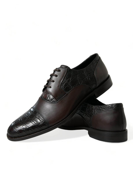 Dolce & Gabbana Elegant Brown Formal Derby Dress Shoes - Hilstor