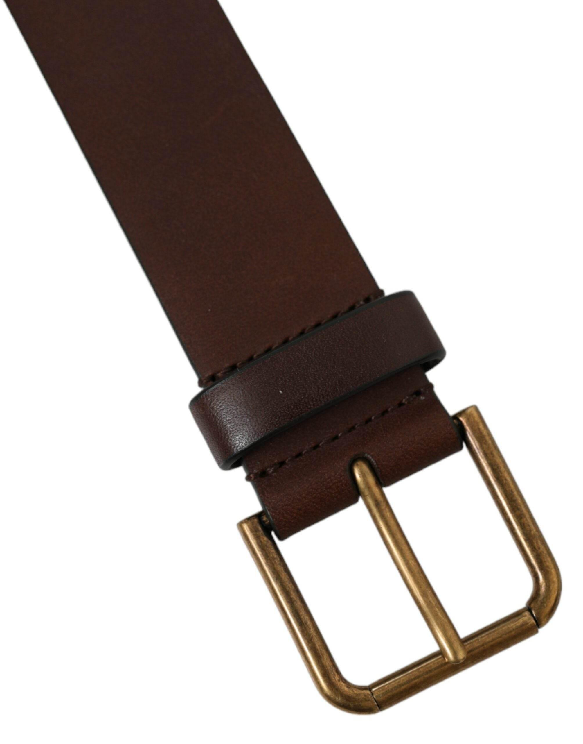 Dolce & Gabbana Brown Calf Leather Gold Metal Buckle Belt - Hilstor