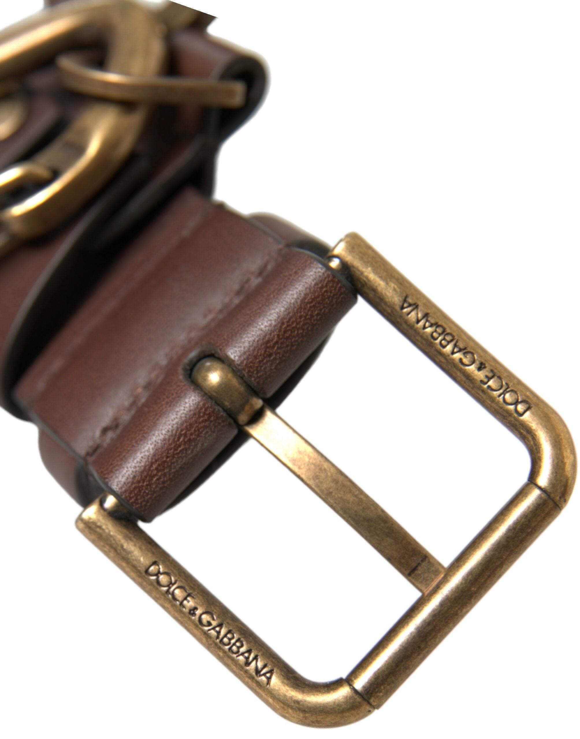 Dolce & Gabbana Brown Calf Leather Gold Metal Buckle Belt - Hilstor