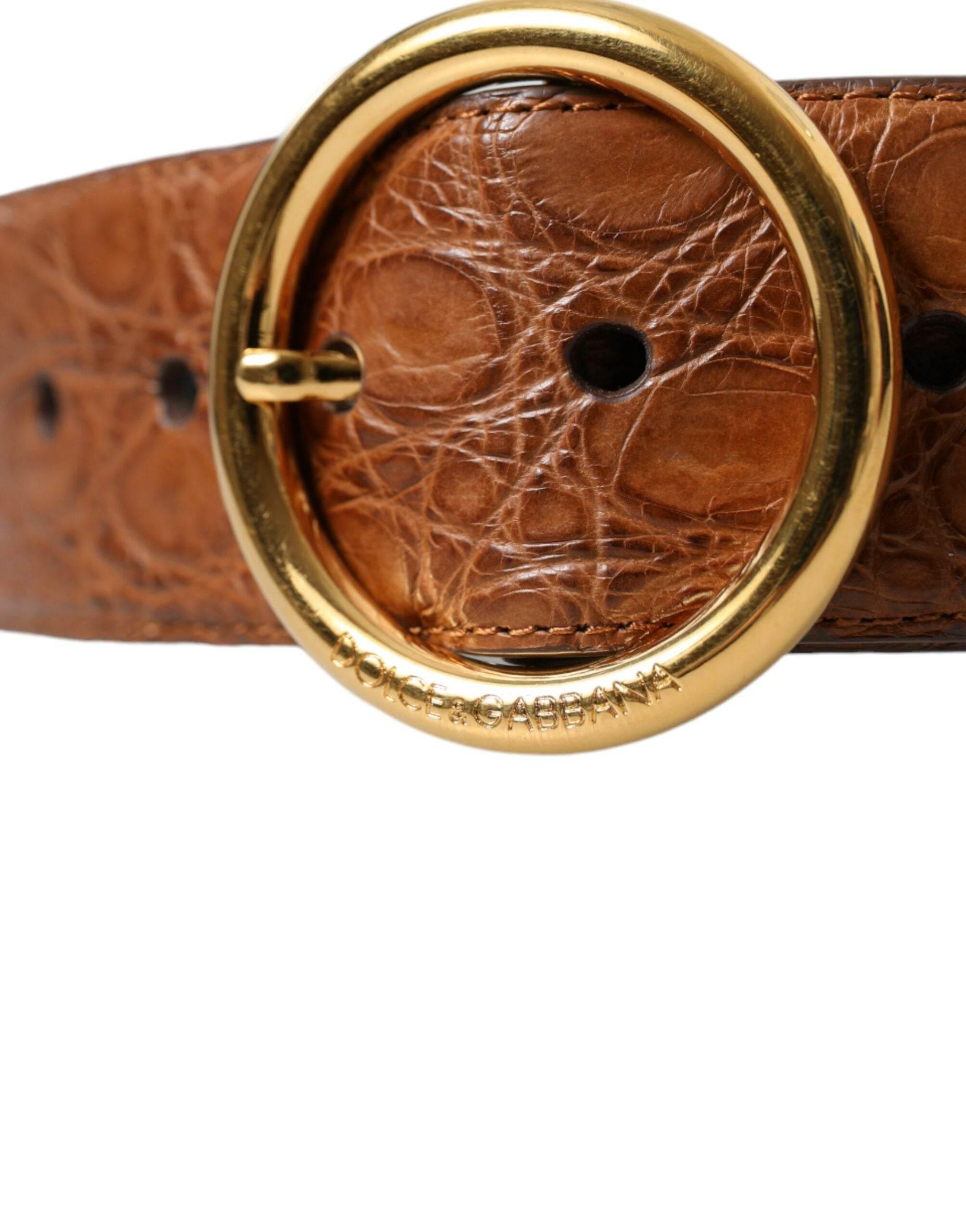 Dolce & Gabbana Brown Exotic Leather Round Buckle Belt - Hilstor