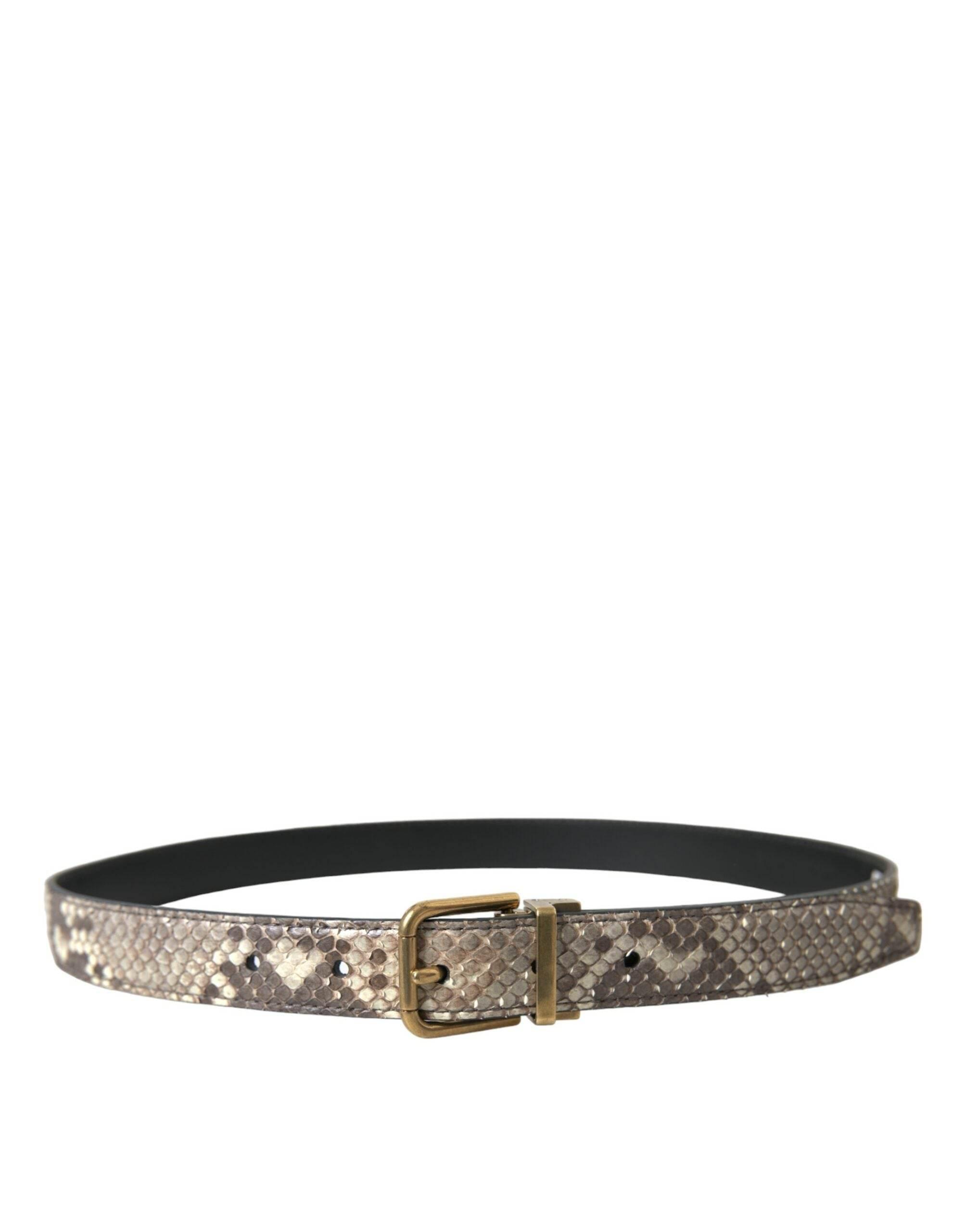 Dolce & Gabbana Brown Python Leather Gold Metal Buckle Belt - Hilstor