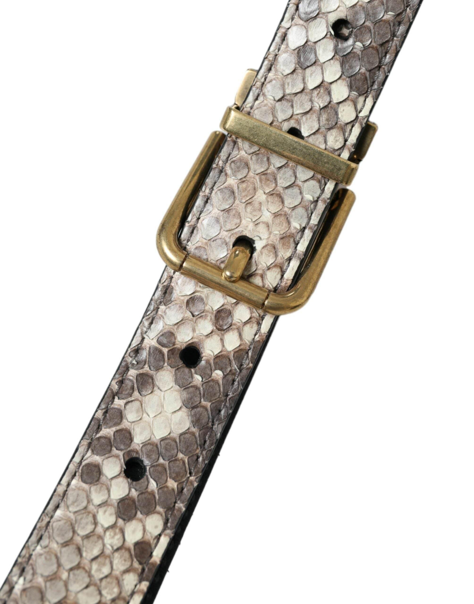 Dolce & Gabbana Brown Python Leather Gold Metal Buckle Belt - Hilstor