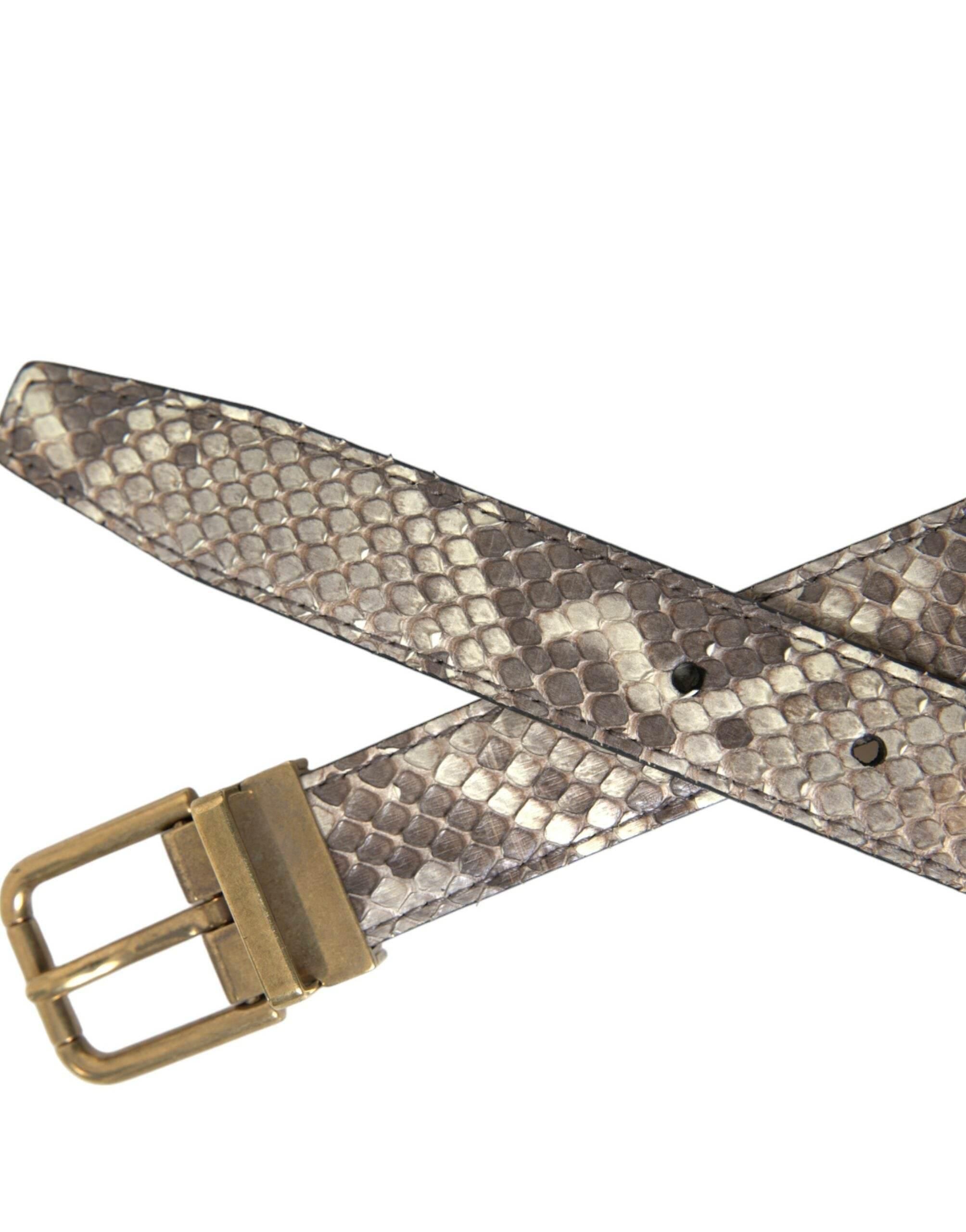 Dolce & Gabbana Brown Python Leather Gold Metal Buckle Belt - Hilstor