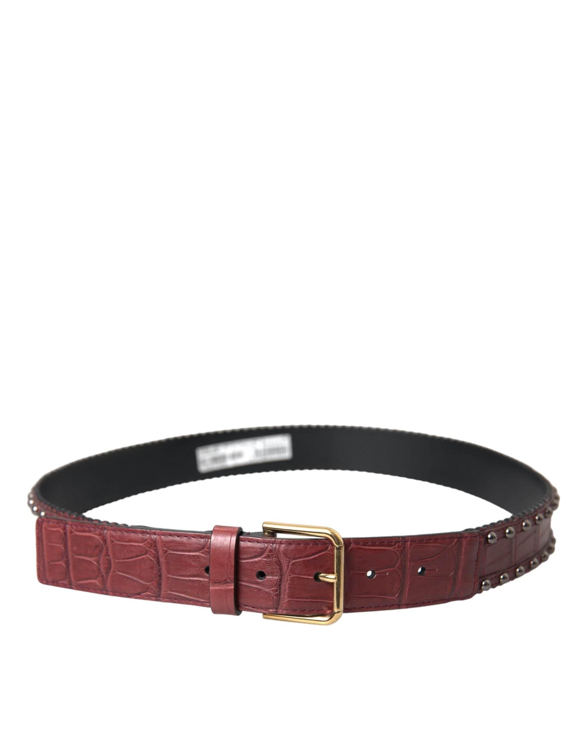 Dolce & Gabbana Brown Alligator Leather Studded Metal Buckle Belt - Hilstor