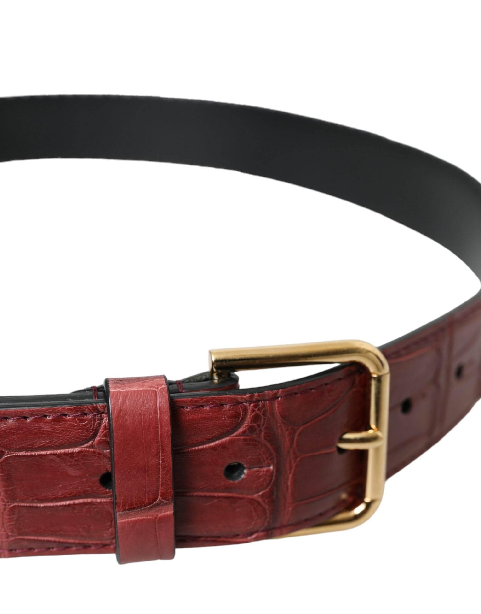 Dolce & Gabbana Brown Alligator Leather Studded Metal Buckle Belt - Hilstor