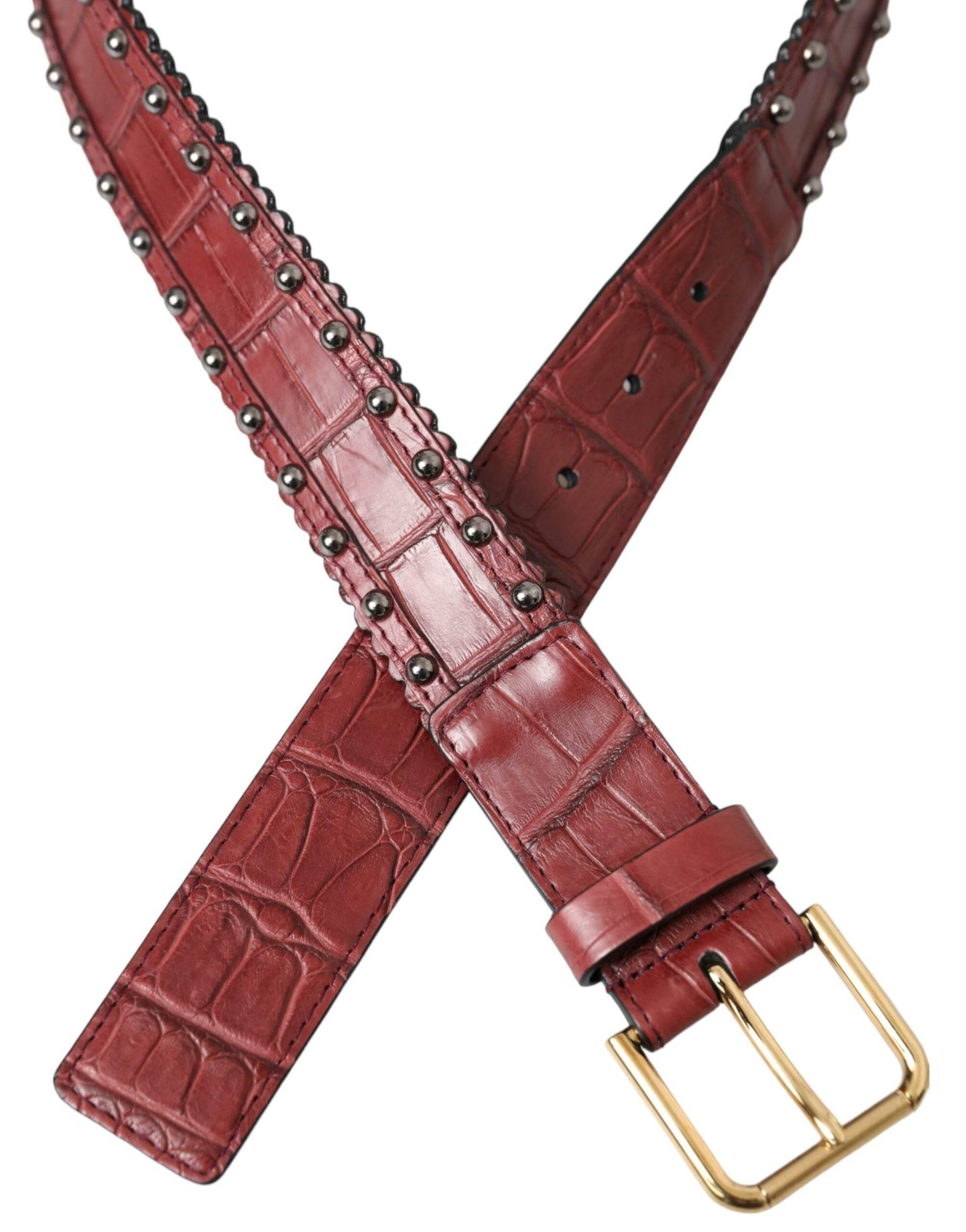 Dolce & Gabbana Brown Alligator Leather Studded Metal Buckle Belt - Hilstor