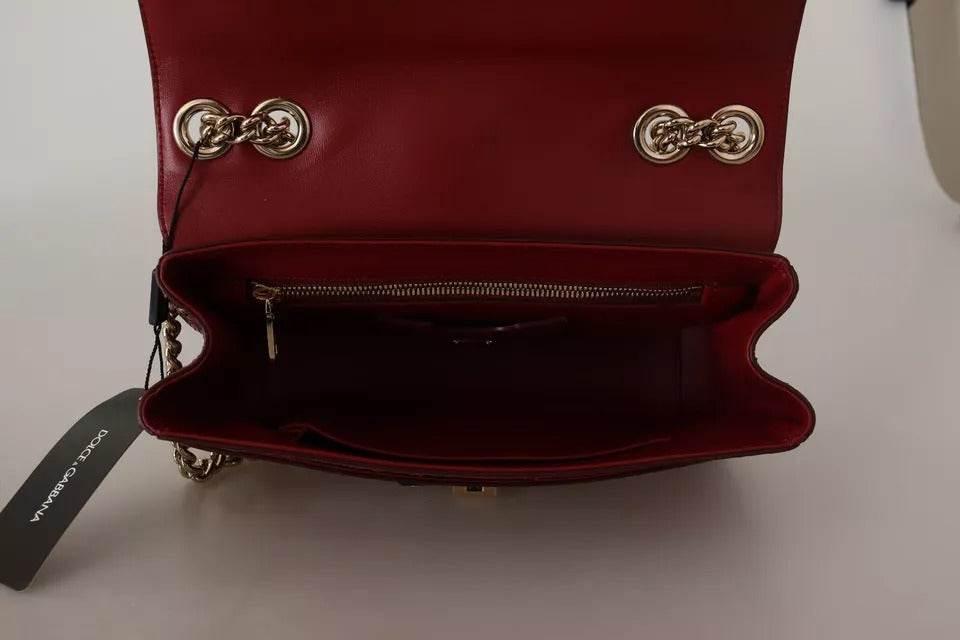 Dolce & Gabbana Pink Red Exotic Skins Gold Chain Purse LUCIA Leather Bag - Hilstor