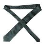 Dolce & Gabbana Green Silk Branded Logo Adjustable Men Tie - Hilstor