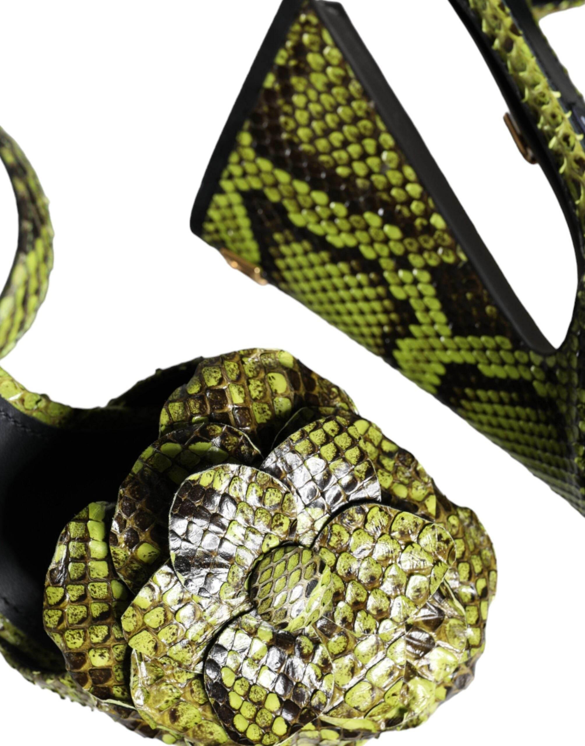Dolce & Gabbana Green Exotic Leather Ankle Strap Heels Sandals Shoes - Hilstor