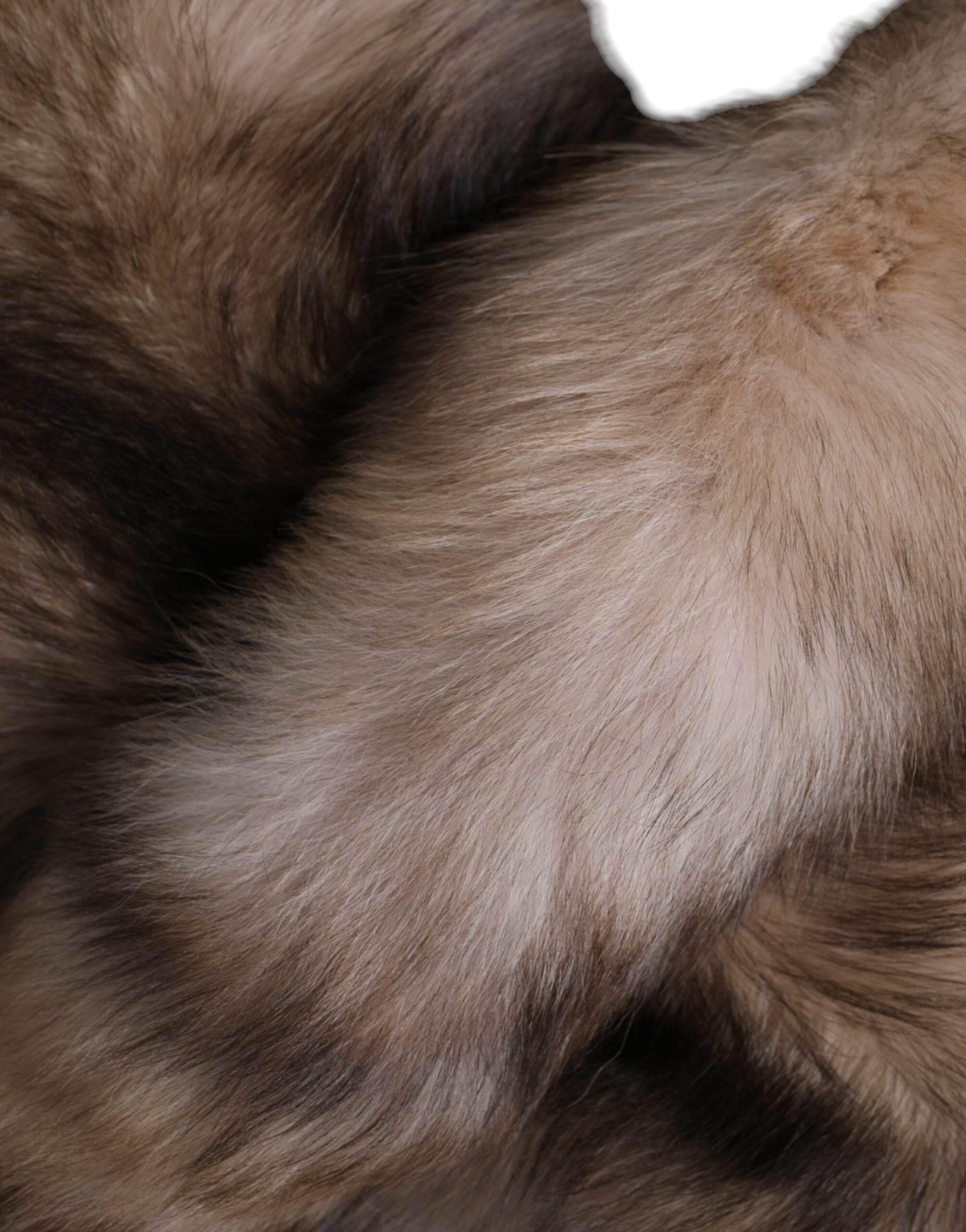 Dolce & Gabbana Brown Frost Fox Fur Neck Warmer Winter Scarf - Hilstor