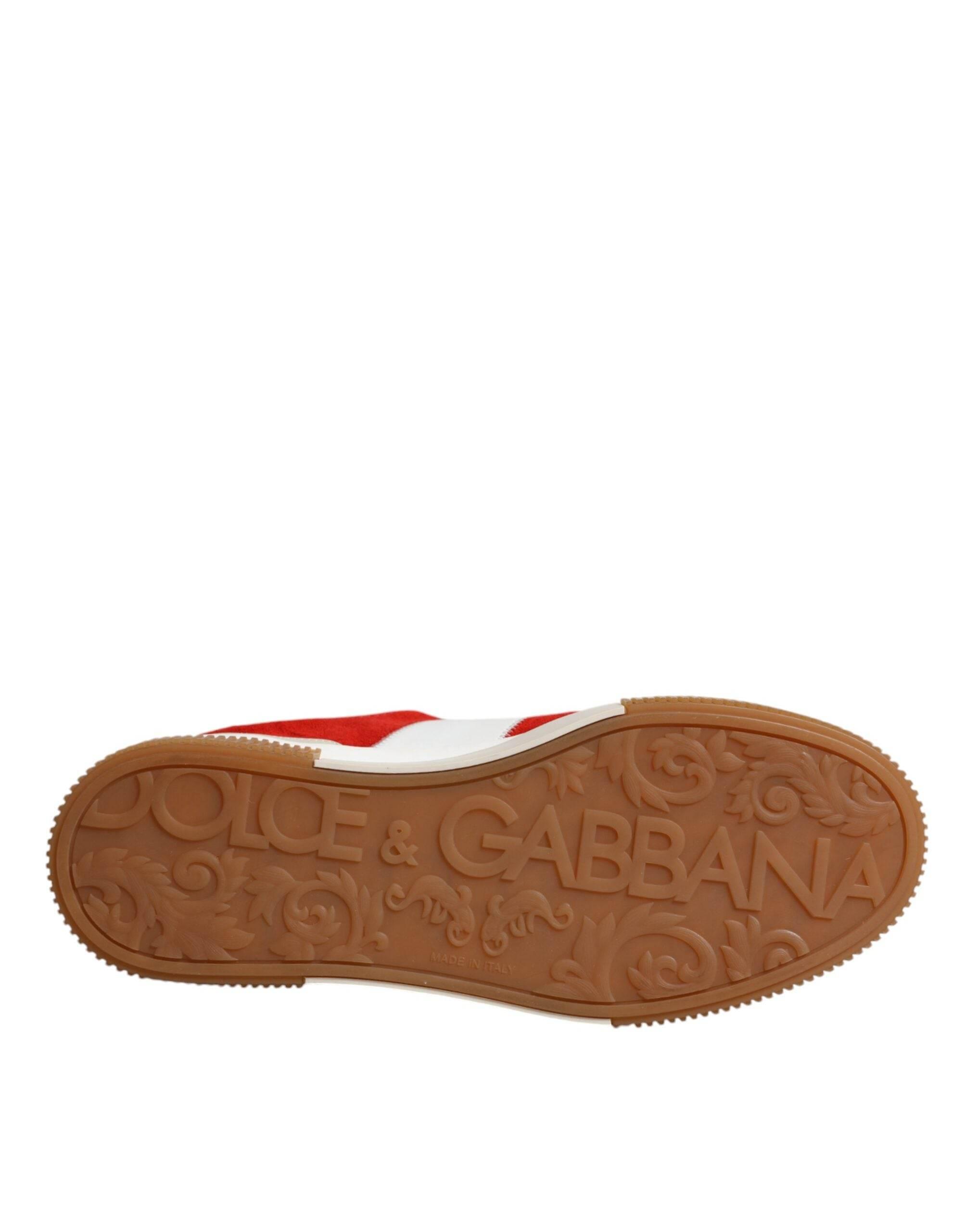 Dolce & Gabbana Multicolor Miami Leather Low Top Sneakers Shoes - Hilstor
